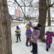 Акция «Столовая для пернатых»