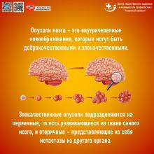 15-21 июля Неделя сохранения здоровья головного мозга