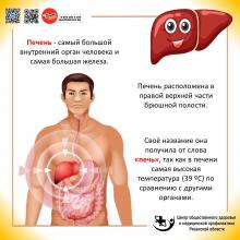 22-28 июля Неделя профилактики заболеваний печени