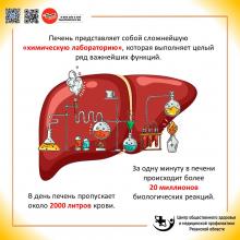 22-28 июля Неделя профилактики заболеваний печени