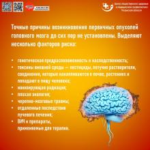 15-21 июля Неделя сохранения здоровья головного мозга