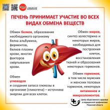 22-28 июля Неделя профилактики заболеваний печени