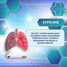 Неделя, посвященная сохранению здоровья легких