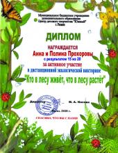 Экологическая викторина «Кто в лесу живет, что в лесу растет»