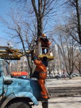 Городской экологический праздник «Ждем птиц»
