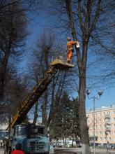 Городской экологический праздник «Ждем птиц»