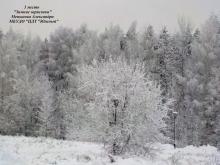 Южный Меньшова Александра Зимние зарисовки