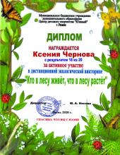 Экологическая викторина «Кто в лесу живет, что в лесу растет»