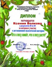 Экологическая викторина «Кто в лесу живет, что в лесу растет»