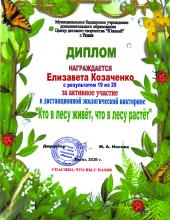 Экологическая викторина «Кто в лесу живет, что в лесу растет»