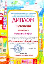 Рогозина Софья