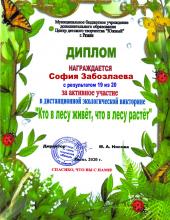 Экологическая викторина «Кто в лесу живет, что в лесу растет»