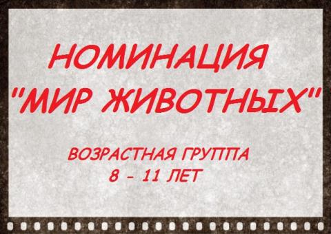 Номинация Мир животных