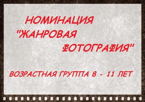 Городской дистанционный конкурс детской художественной фотографии «Я люблю свою землю»