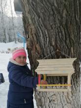 Столовая для пернатых